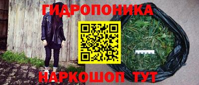 jwh Пенза