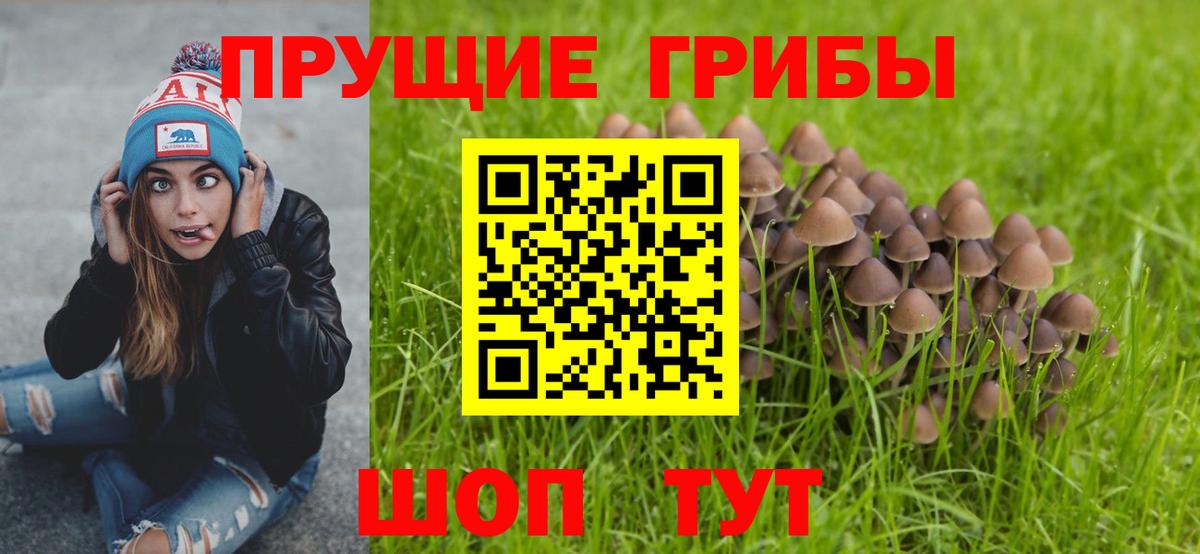 Галлюциногенные грибы мухоморы  Вход с VPN  Петропавловск-Камчатский 